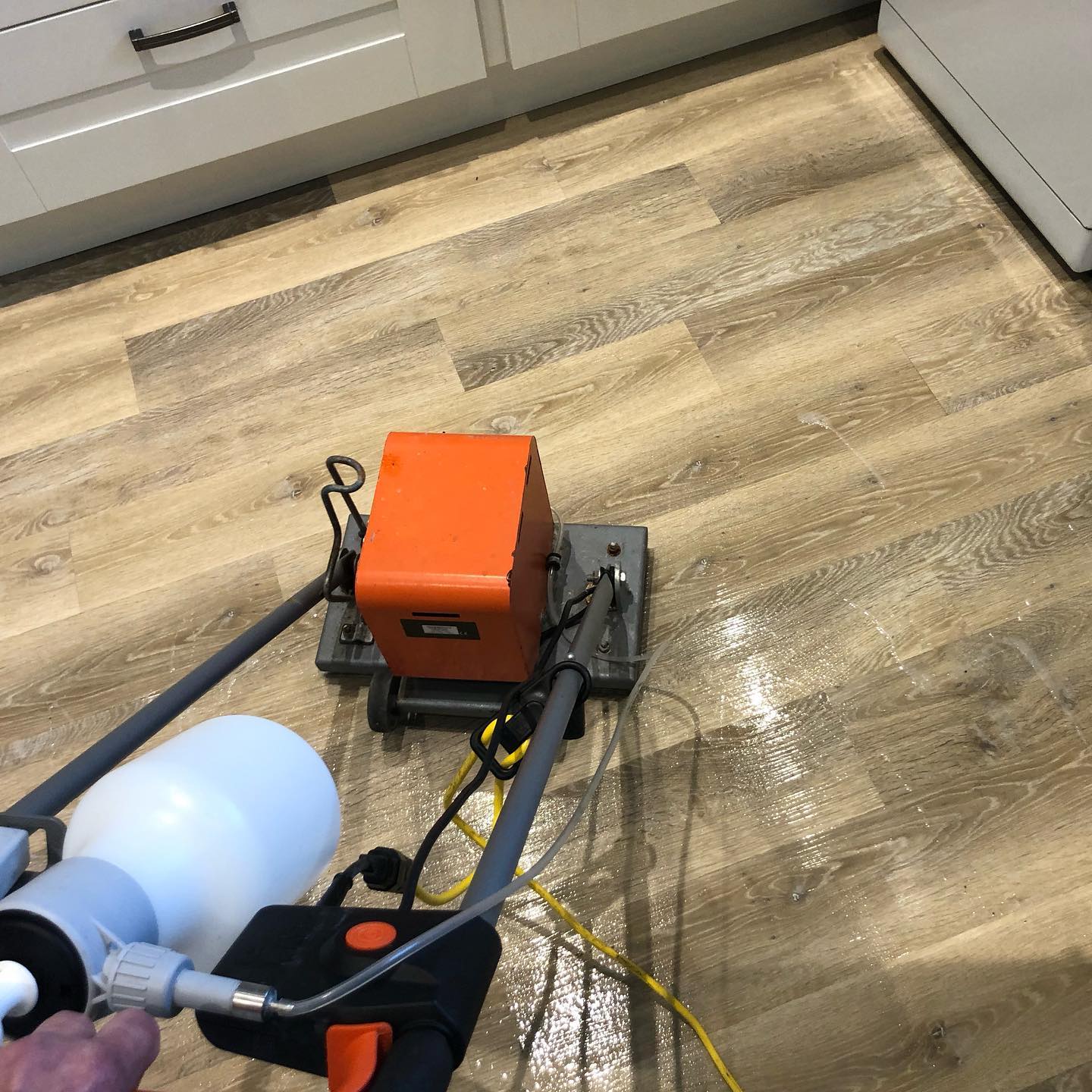 Professional LVT cleaning