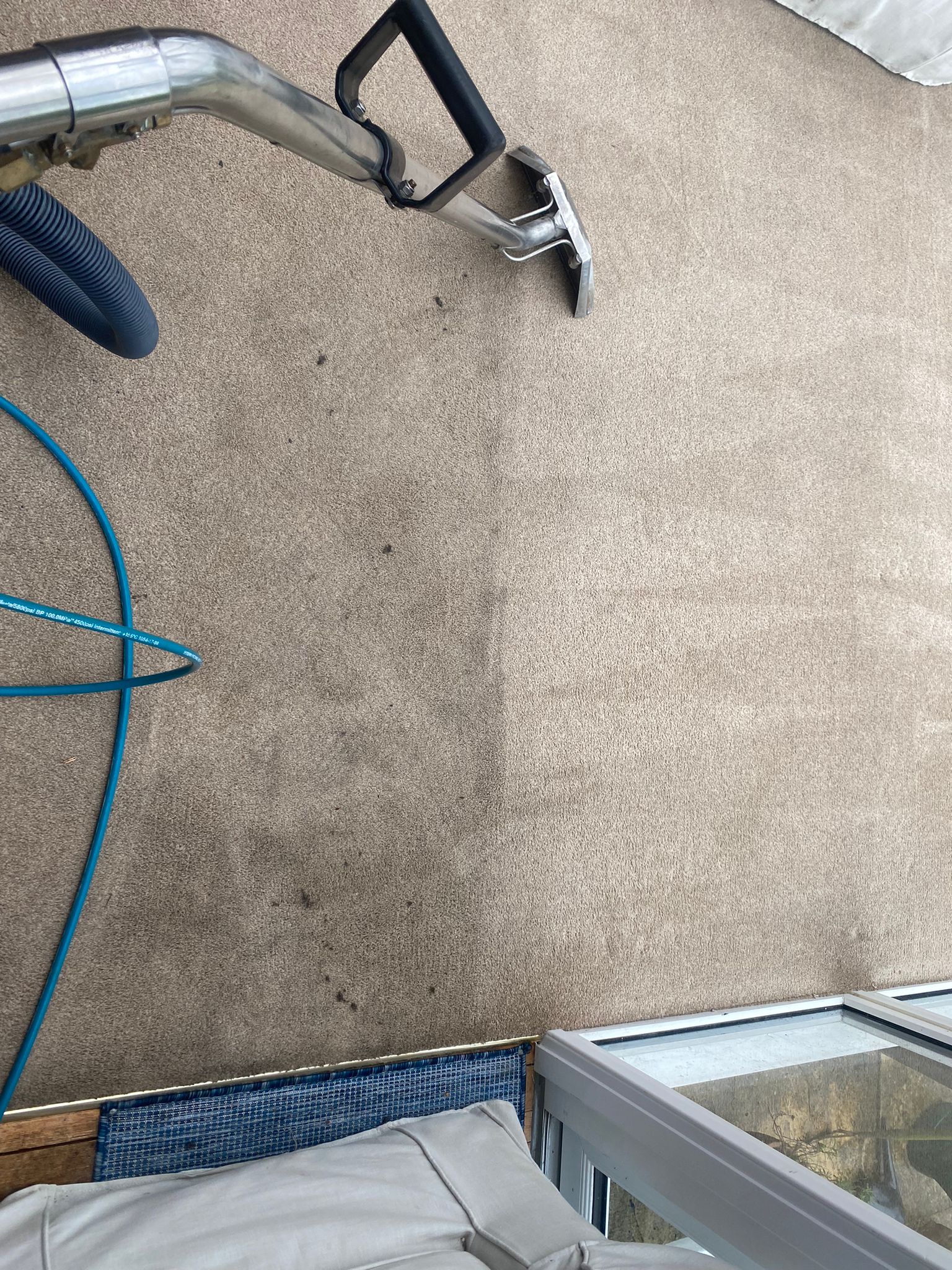 Carpet cleaning progress