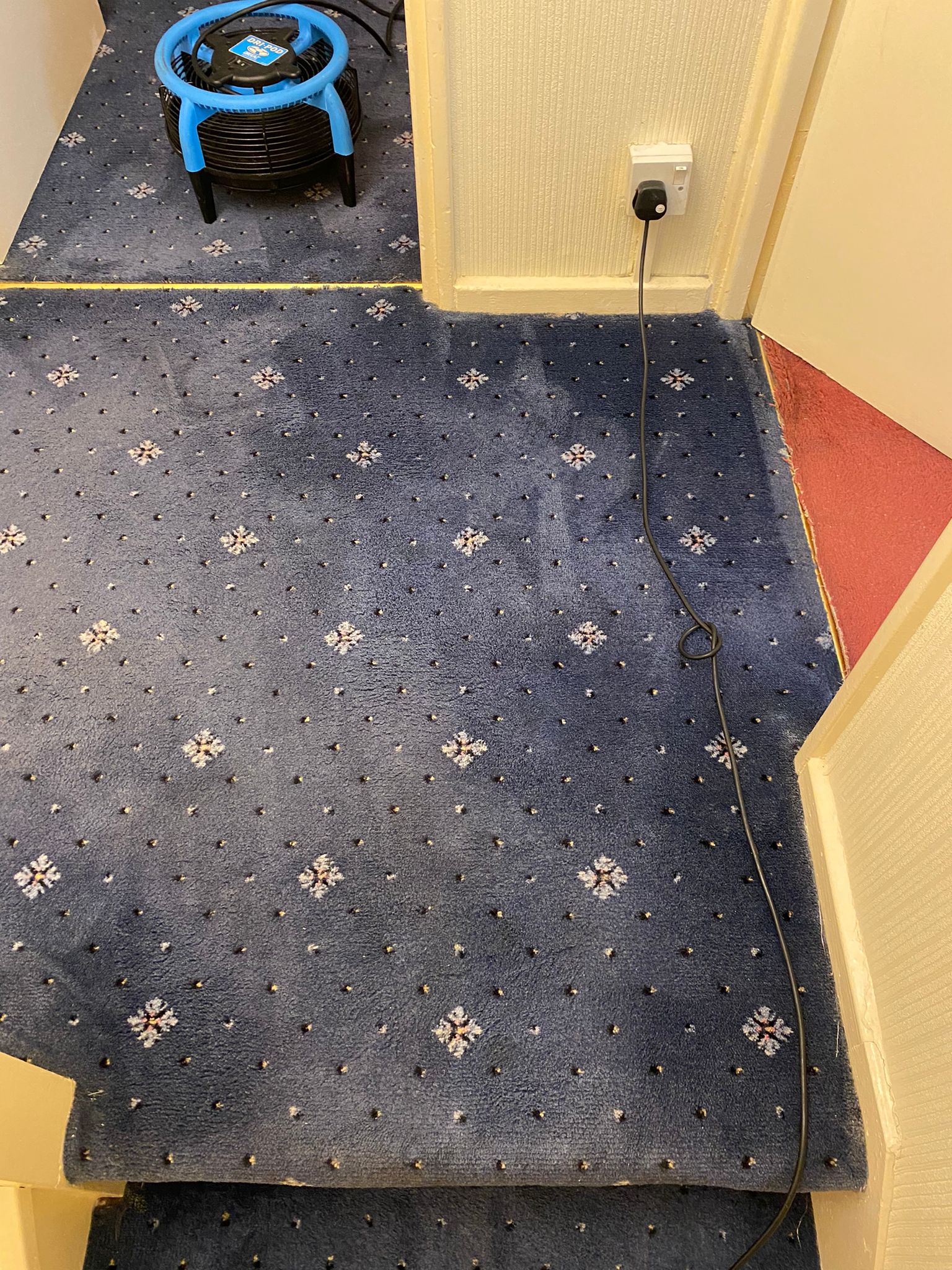 Stain removal on patterned carpet