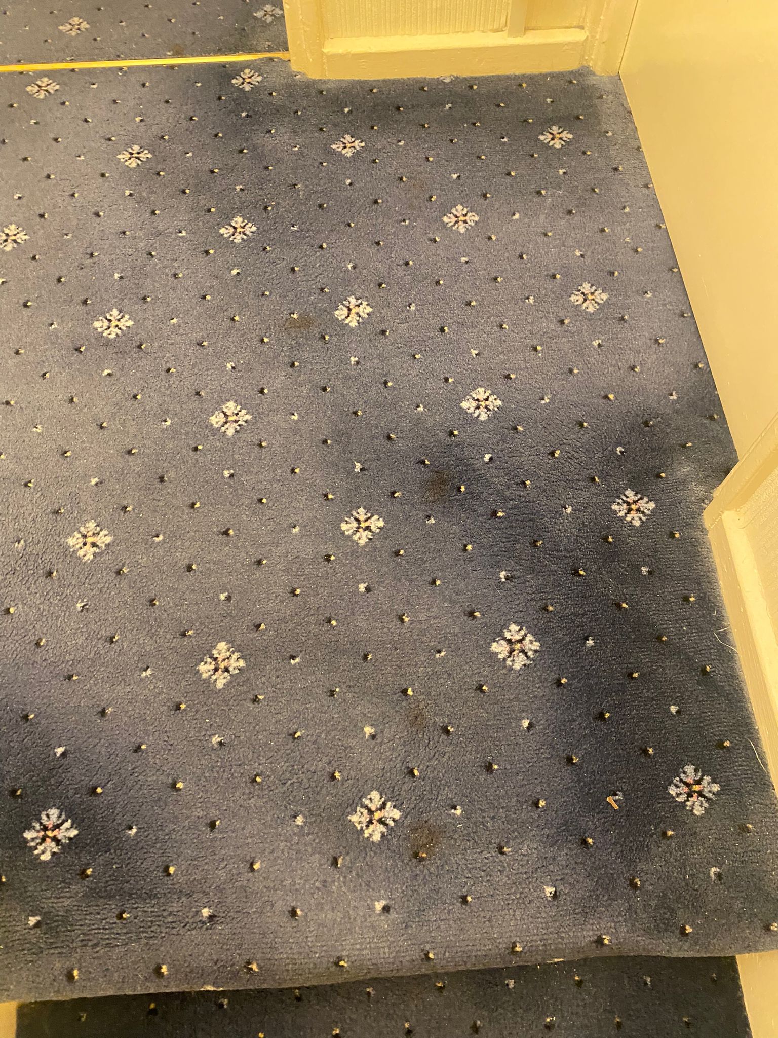 Stains on a carpet