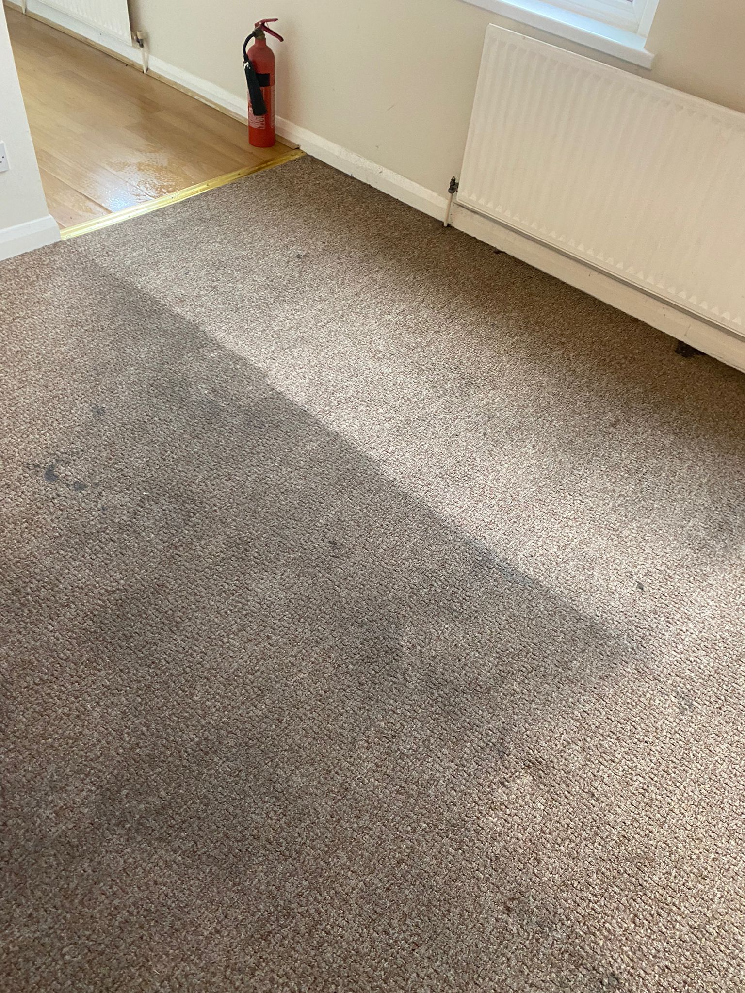 Process of cleaning a carpet